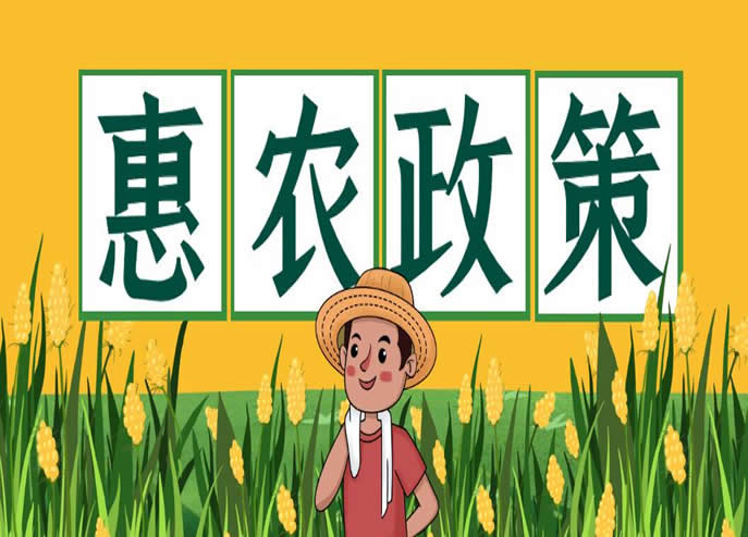 惠农政策助力新农村：农民福祉与“三农”发展新篇章