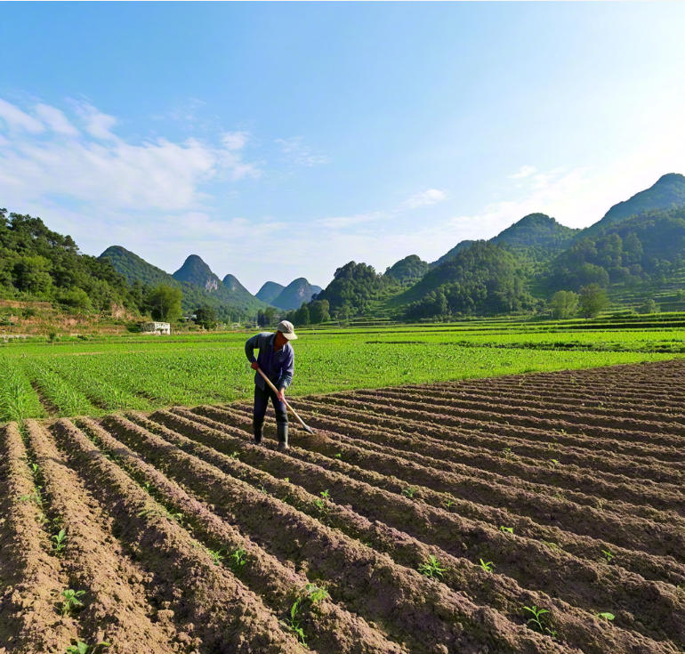 投入耕地保护技术，筑牢粮食安全防线